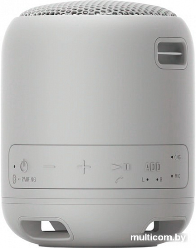 Беспроводная колонка Sony SRS-XB12 (серый)