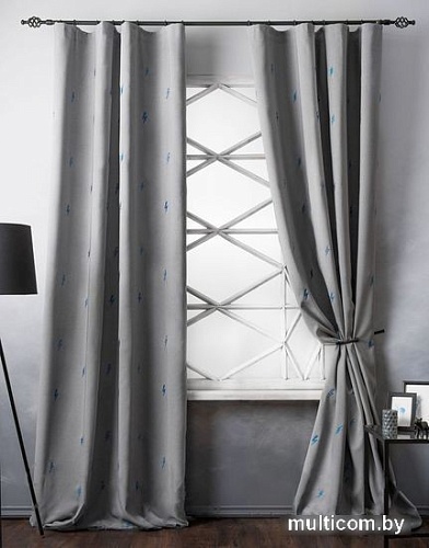 Комплект штор Pasionaria Флэш 290x250 с подхватами (серый)