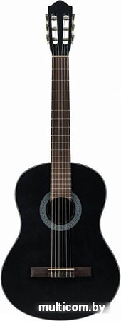 Акустическая гитара Flight C-100 BK 4/4