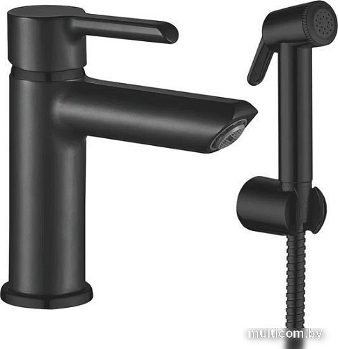 Смеситель Shevanik S6071H