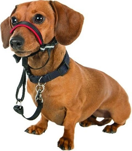 Недоуздок Halti Optifit Headcollar S (черный)