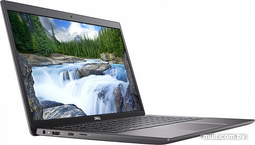 Ноутбук Dell Latitude 3301-5116