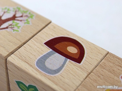 Кубики Десятое королевство Кубики на оси. Времена года 02957