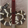 Пинцет для кормления Lucky Reptile прямой PG-30