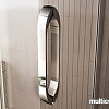 Душевая дверь WeltWasser WW900 900К2-90