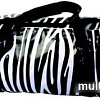 Рюкзак AceCamp Zebra Duffel Dry Bag 2468 (белый/черный)