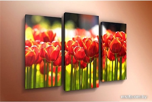 Модульная картина Arthata m-000510 120x80