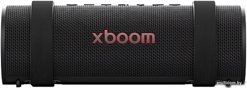 Беспроводная колонка LG XBOOM Grab