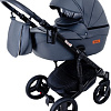Универсальная коляска Ray Corsa Ecco (2 в 1, 21)