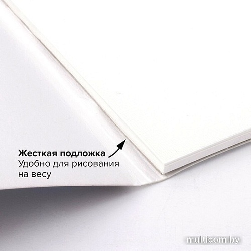 Планшет для акварели BRAUBERG Art 113252 (20 л)