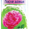 Освежитель воздуха Chirton После дождя (300 мл)