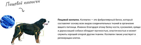 Сухой корм для собак Frais Holistic Dog мясные кусочки с телятиной в желе (850г)