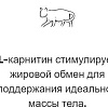 Сухой корм для кошек Arion Original Mature 7.5 кг