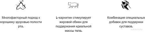 Сухой корм для кошек Arion Original Mature 7.5 кг