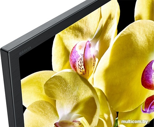 Телевизор Sony KD-55XG8096