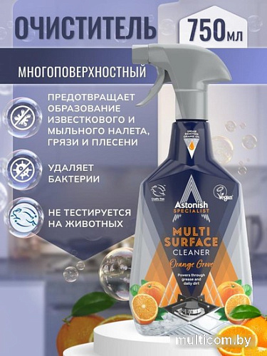 Средство универсальное Astonish Апельсиновая роща 750 мл