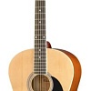 Акустическая гитара Homage LF-3910