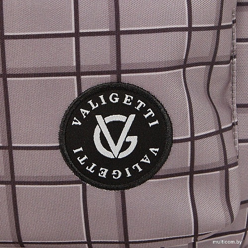 VALIGETTI 308-1993-GRY (серый)