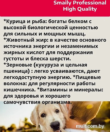 Сухой корм для собак Smaily Professional Adult High Quality для взрослых пород 20 кг