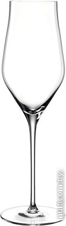 Бокал для шампанского Leonardo Brunelli 066408