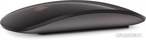 Мышь Apple Magic Mouse 2 (серый космос)