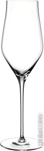 Бокал для шампанского Leonardo Brunelli 066408