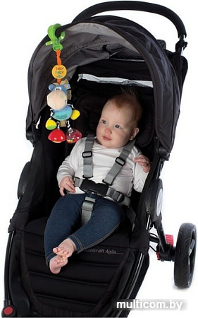 Погремушка Playgro Dingly Dangly 010114004
