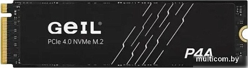 SSD GeIL P4P 1TB P4AAC16I1TBD