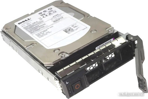 Жесткий диск Dell 161-BBRX 8TB