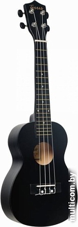 Укулеле Terris TTC-1 BK