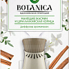 Air Wick Botanica Манящий жасмин и Шри-ланкийская корица (со сменным флаконом, 19 мл)