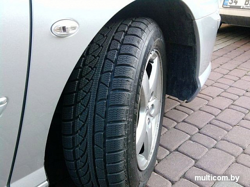 Автомобильные шины Petlas SnowMaster W651 225/45R17 94V