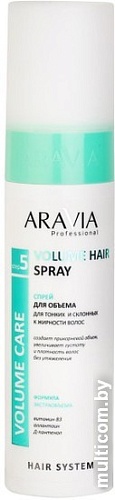 Спрей Aravia Professional Volume Hair Spray склонных к жирности волос 250 мл