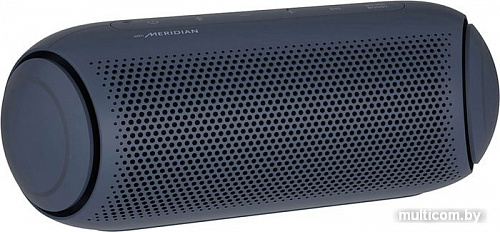 Беспроводная колонка LG XBOOM Go PL5 (черный)