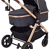 Универсальная коляска Rant Basic Roller Gold RA161 (2 в 1, grey)