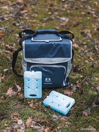 Термосумка Арктика 3001-20 20л (синий)