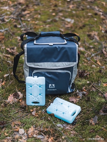 Термосумка Арктика 3001-20 20л (синий)