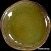Тарелка десертная Corone Verde HL496940 фк0705