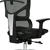 Кресло Evolution ERGO Mesh (черный)