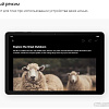 Планшет Huawei MatePad SE 10.4&amp;quot; AGS5-W09 4GB/128GB (графитовый черный)