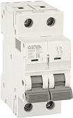 Выключатель автоматический GEYA GYM9 2P 40А D 6кА GYM92P40D