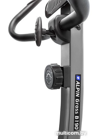 Велотренажер Alpin Gross