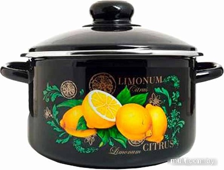 Кастрюля Эстет Цитрус ЭТ-75016/4