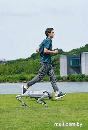 Умный робот-друг Unitree Go2