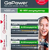 Аккумулятор GoPower 00-00018322