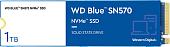 SSD WD Blue SN570 1TB WDS100T3B0C