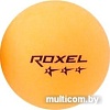 Мяч для настольного тенниса Roxel Prime (оранжевый, 3 звезды, 6 шт.)
