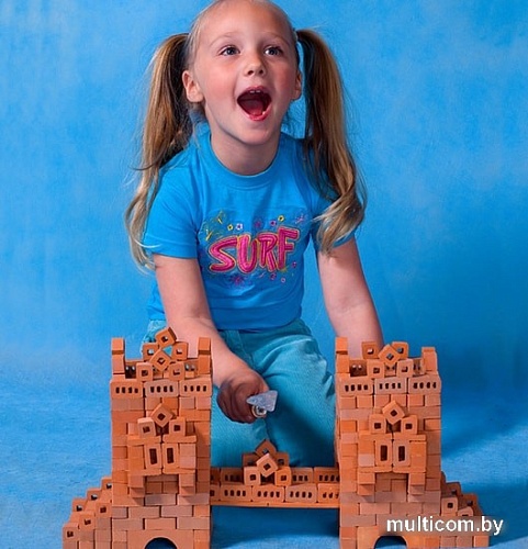 Сборная модель БрикНик Мост