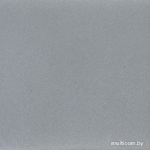 Кухонная мойка Wisent 600-29W (с сифоном GER013)