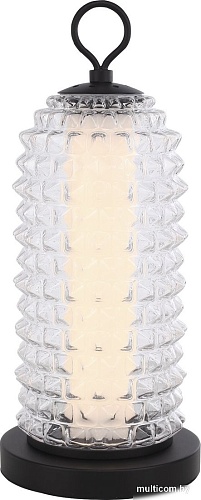 Настольная лампа ST Luce SL6144.404.01